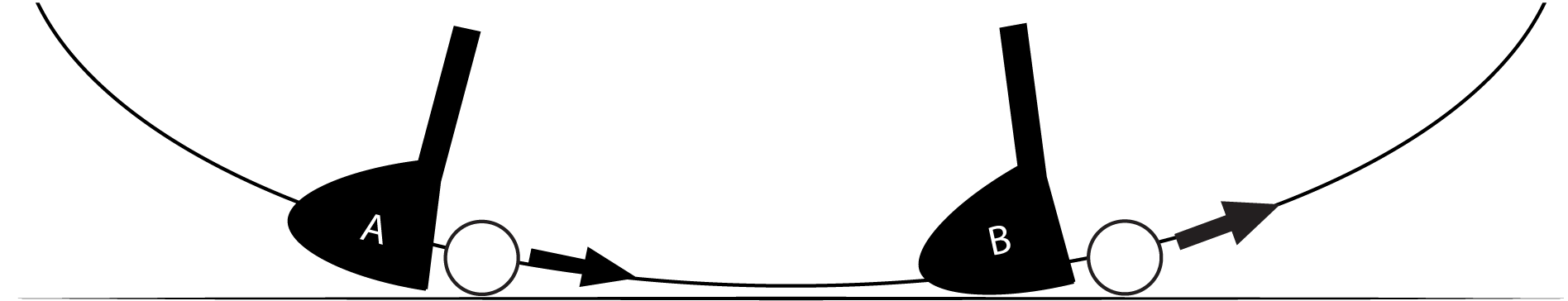 What It Affects - Monochrome (1896x364)