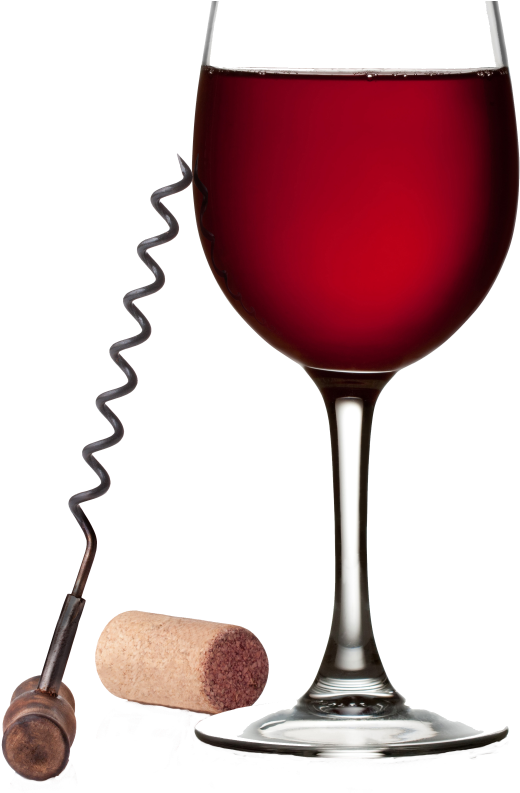 Uncorked - Champagne Stemware (792x792)