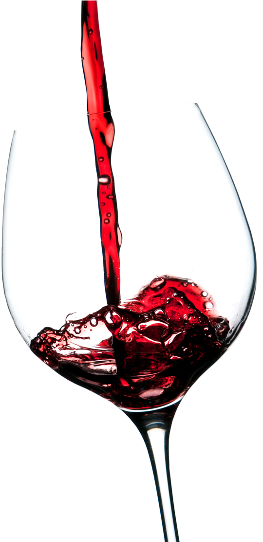 Wine Brak - Champagne Stemware (740x1111)