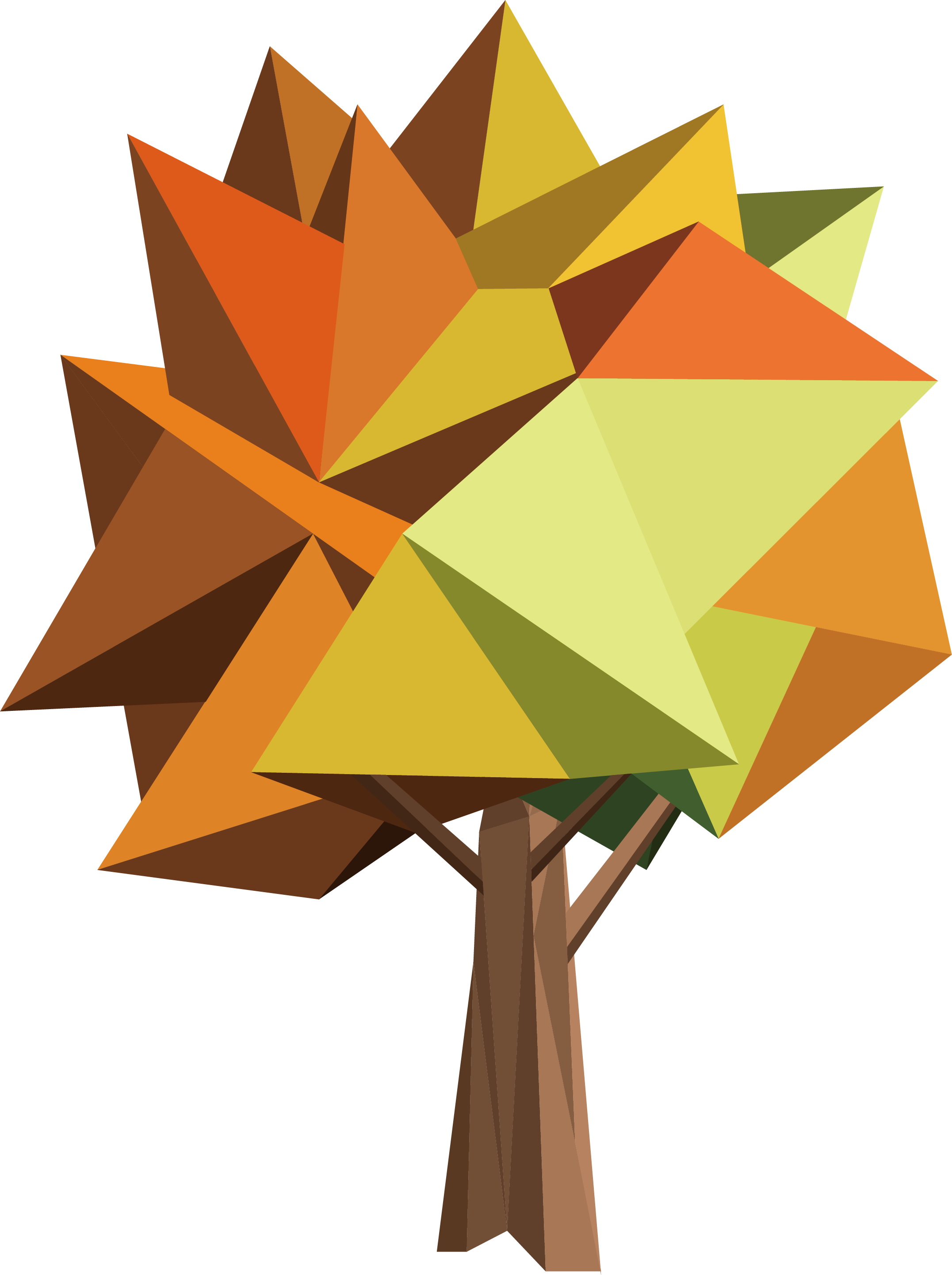 Geometry Euclidean Vector - Geometry Euclidean Vector (2153x2884)