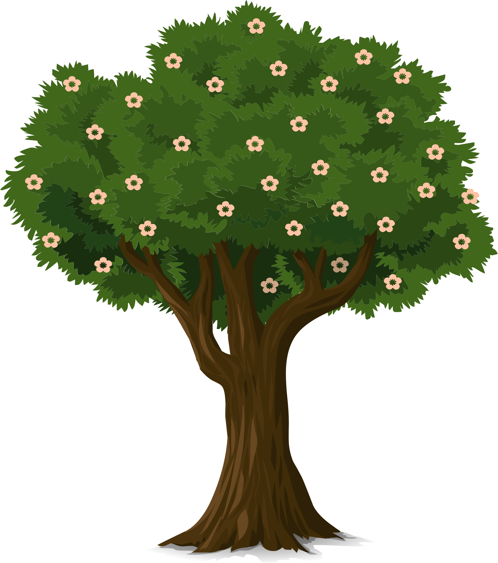 Tree - Tree (1749x1975)
