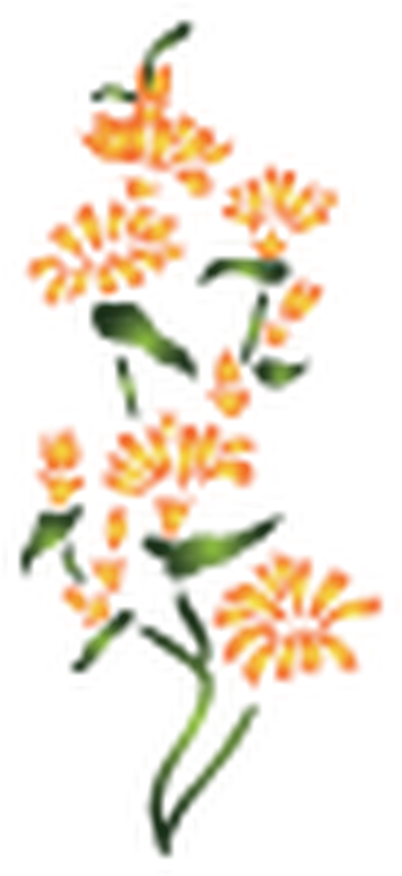 Year 3 - Illustration (900x1314)