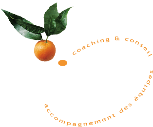 Vistapartner's - Clementine (470x306)