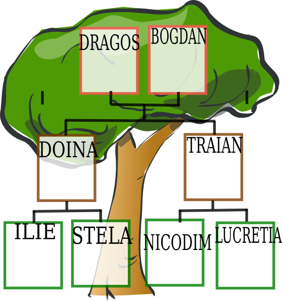 Tree Clip Art (558x596)