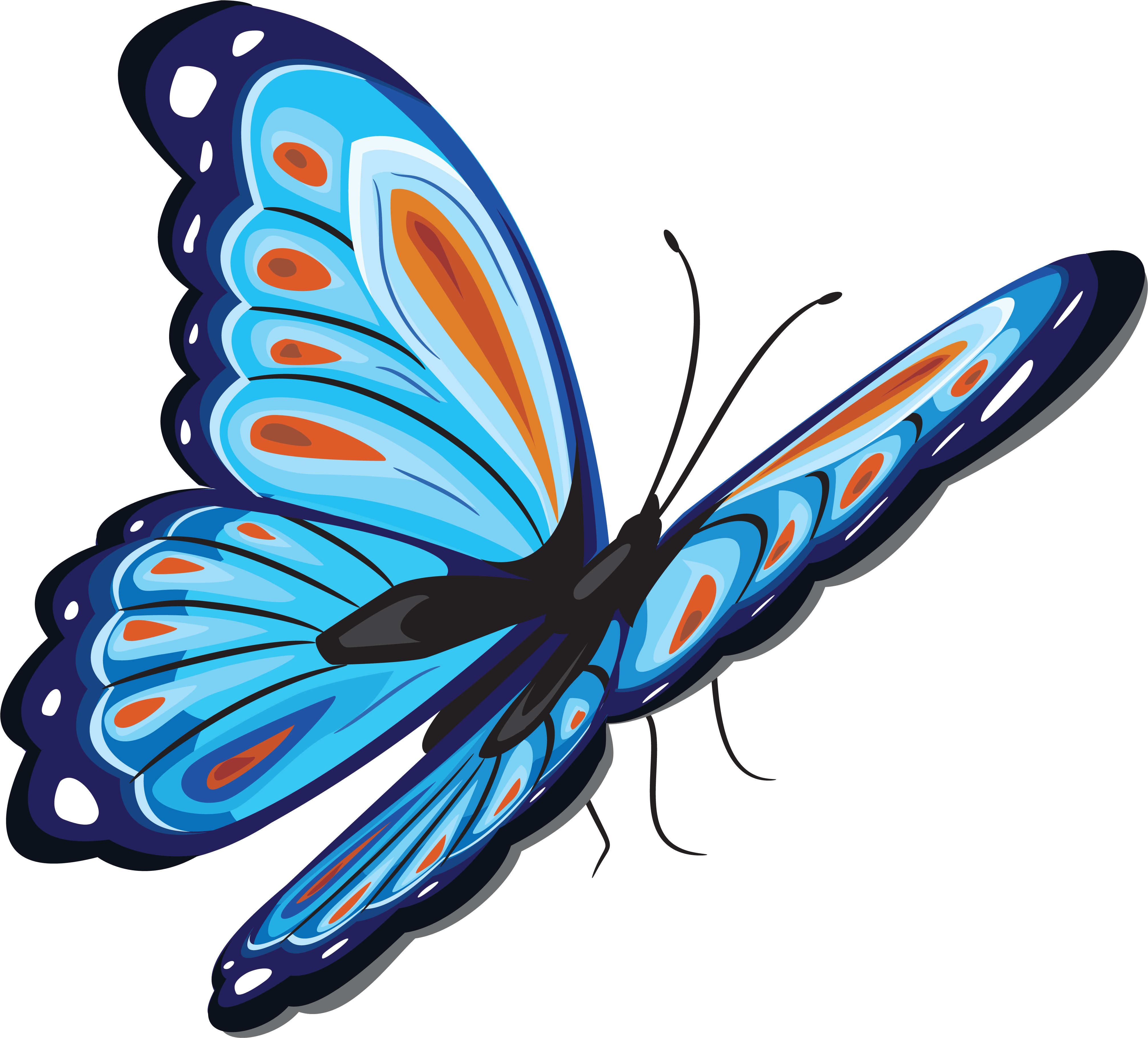 Ch - B *✿* - Cb Edit Butterfly (4420x3811)