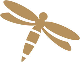 Dragonfly (600x315)