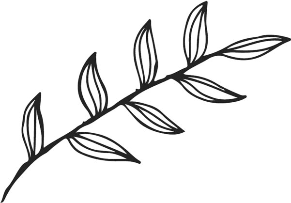 Clip Art (600x600)