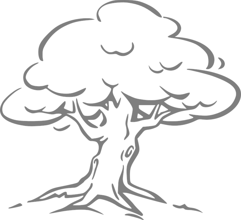 Oak Leaf Outline - Oak Tree Drawing Easy (788x720)