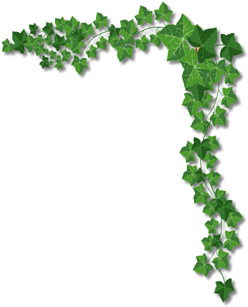 Ivy Page Borders (511x631)