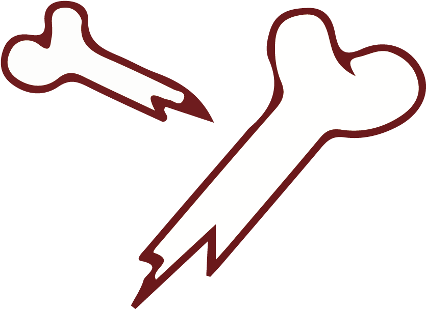Euclidean Vector Bone Clip Art - Bones Vector (1042x1042)