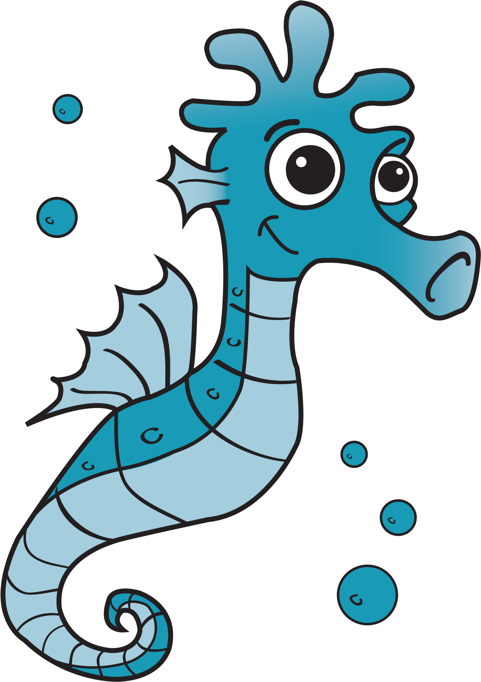 ‹ › - Zeepaard (1775x2382)