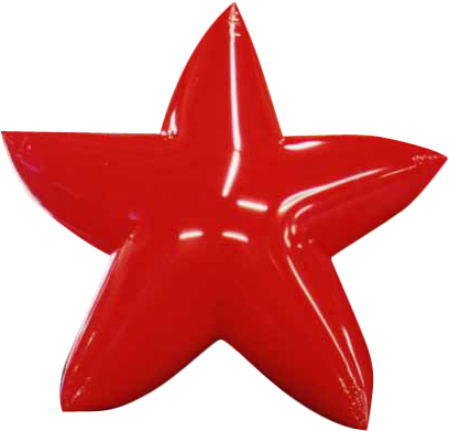 Starfish (428x412)