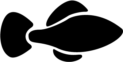 Fish Black Shape Vector - Shape (400x400)