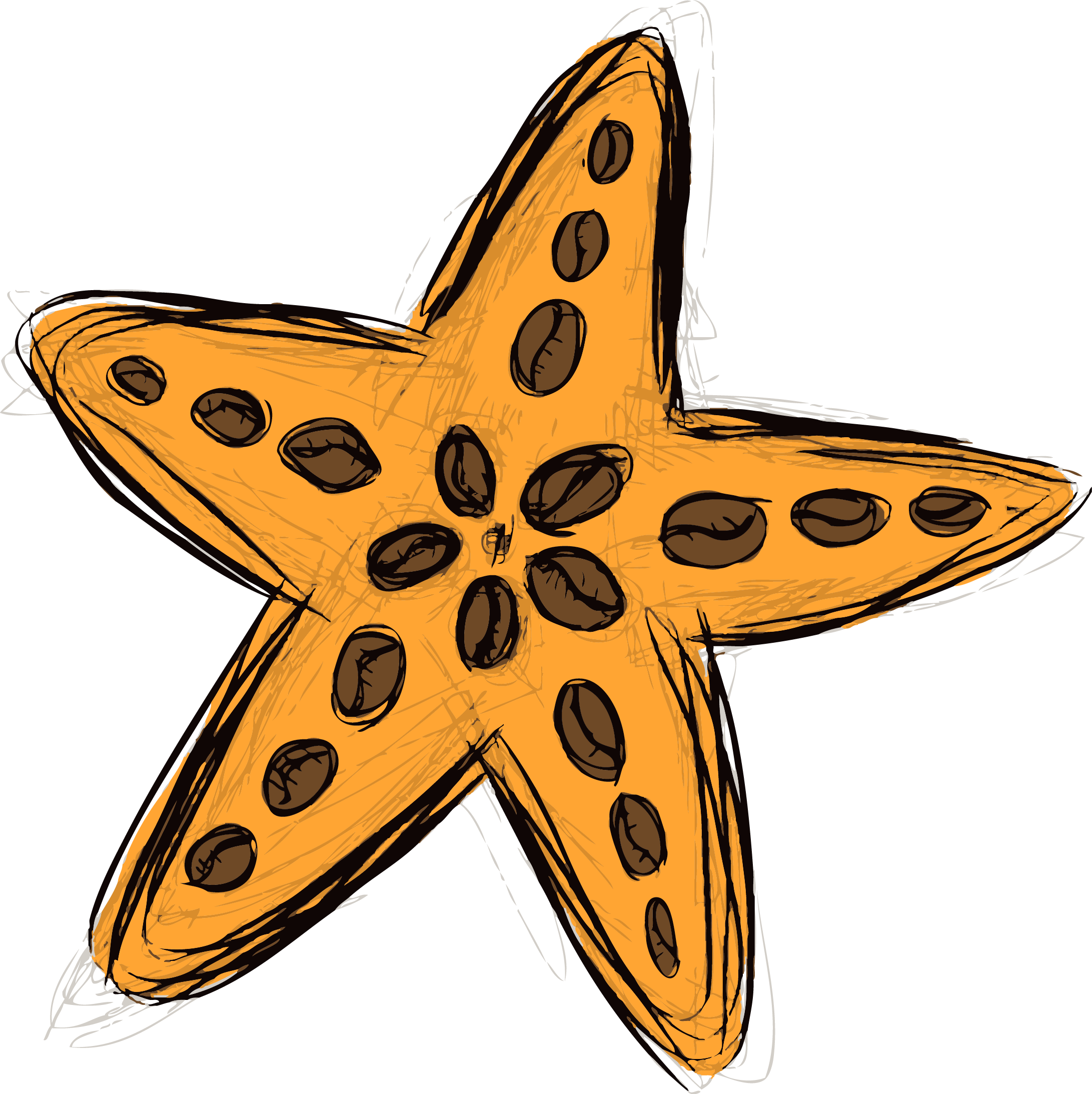 Starfish & Coffee - Starfish (2183x2187)
