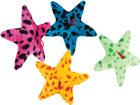 Starfish (566x536)