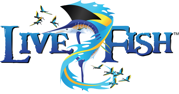 Fish - Fish (600x316)