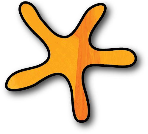 Orange Starfish - Orange Starfish (548x467)