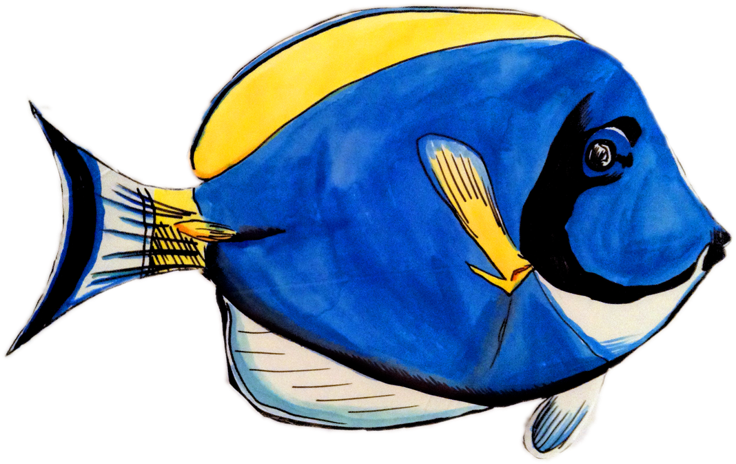 0 Comments - Coral Reef Fish (1100x684)
