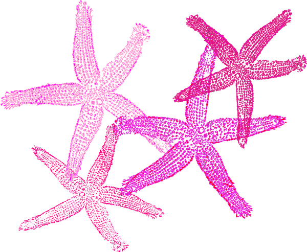 Animated Starfish (600x493)
