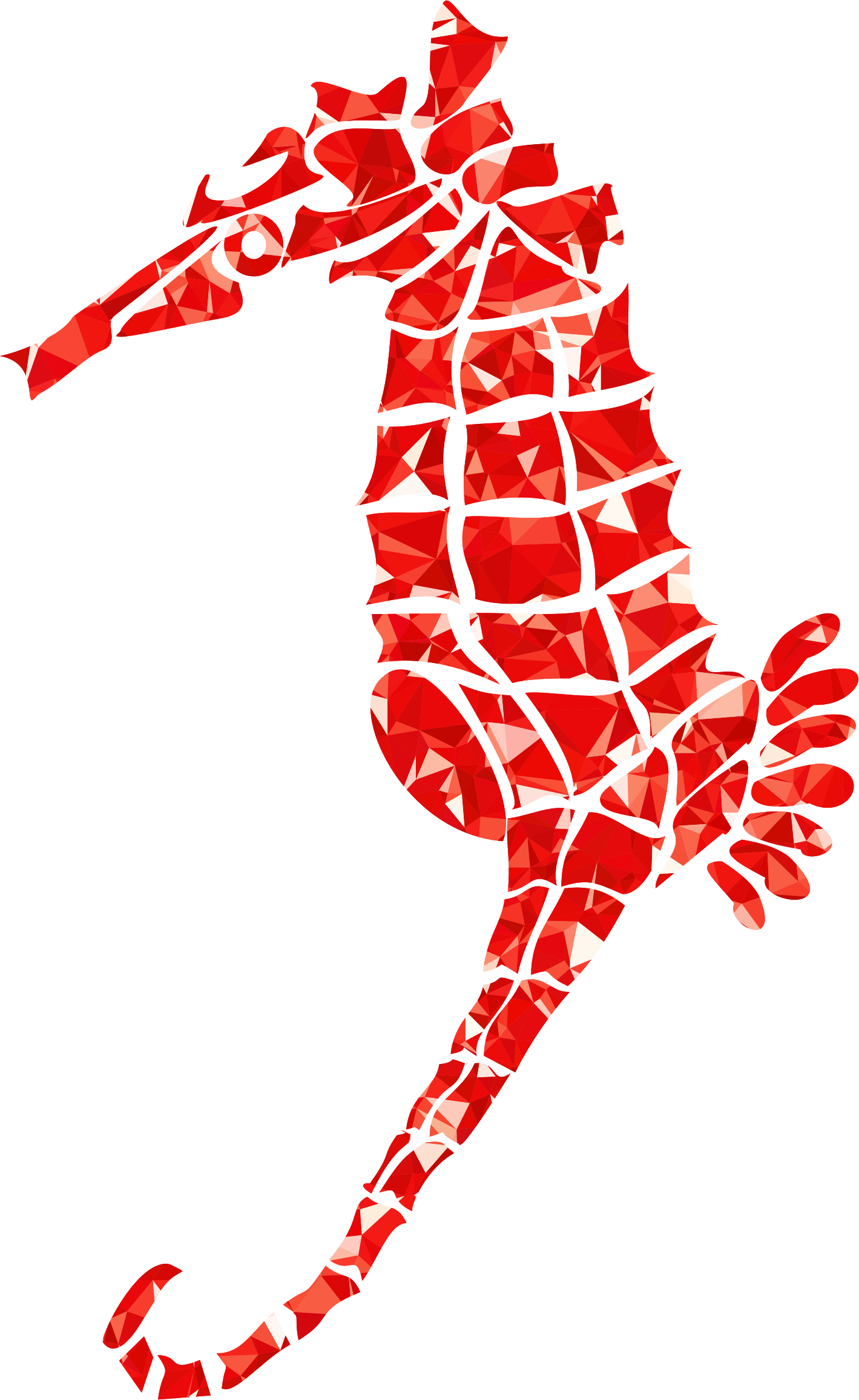 Medium Image - 海洋 幾何 (1419x2312)