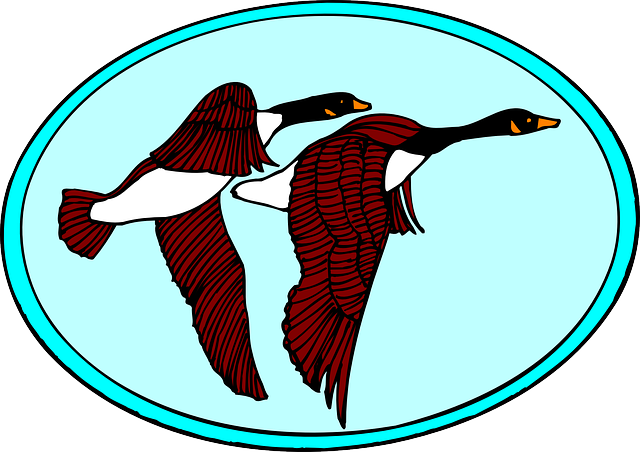 Bird (640x452)