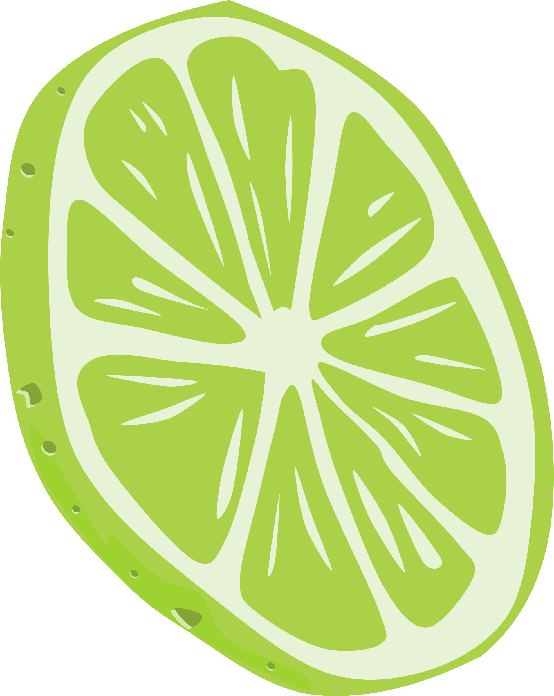 Lime - Lime Clip Art (1909x2400)