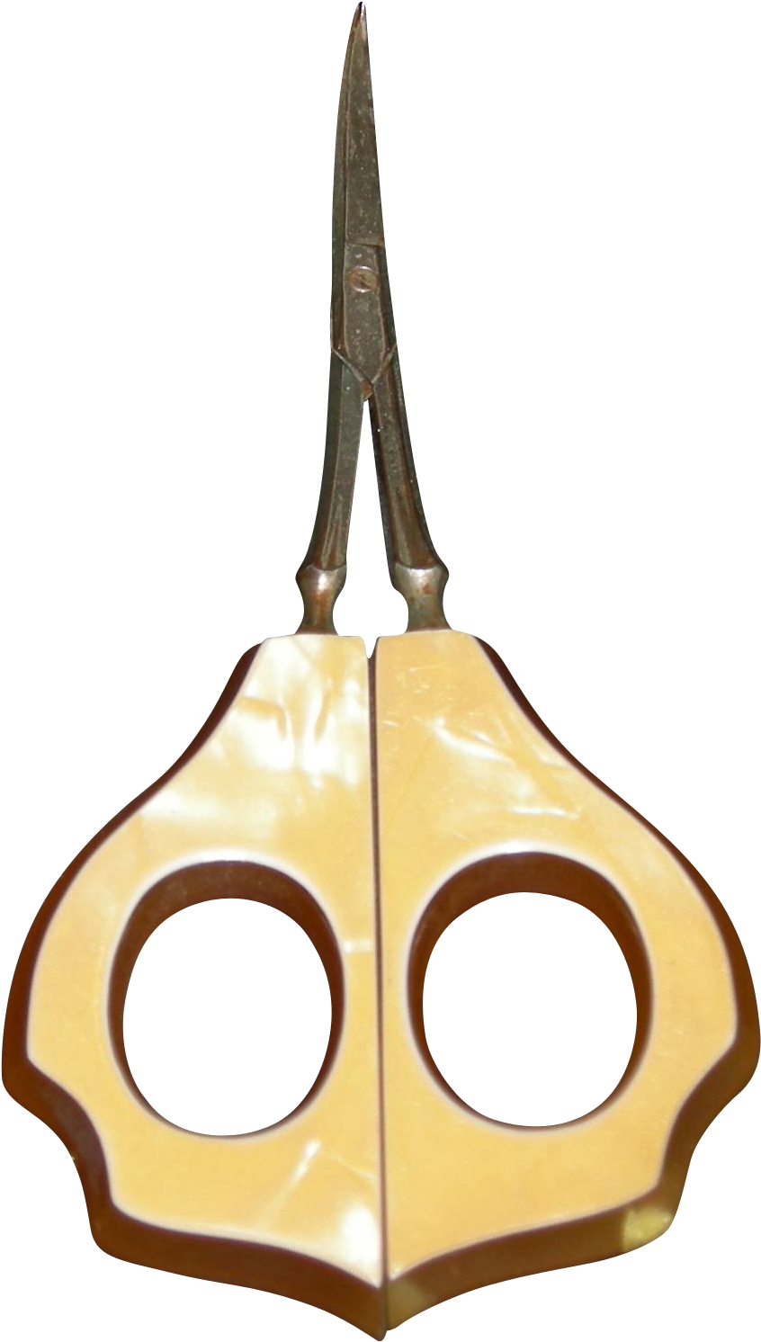 Celluloid Handle Scissors - Celluloid Handle Scissors (1491x1491)