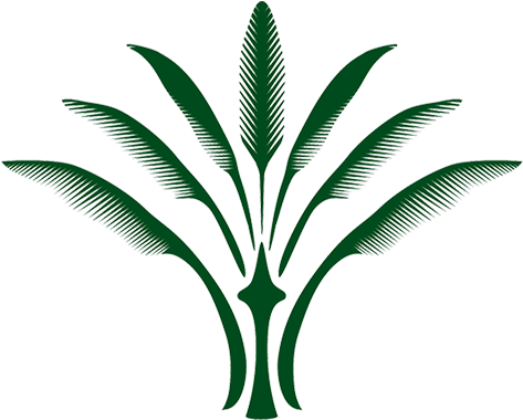   Palm Tree Clip Art (500x500)