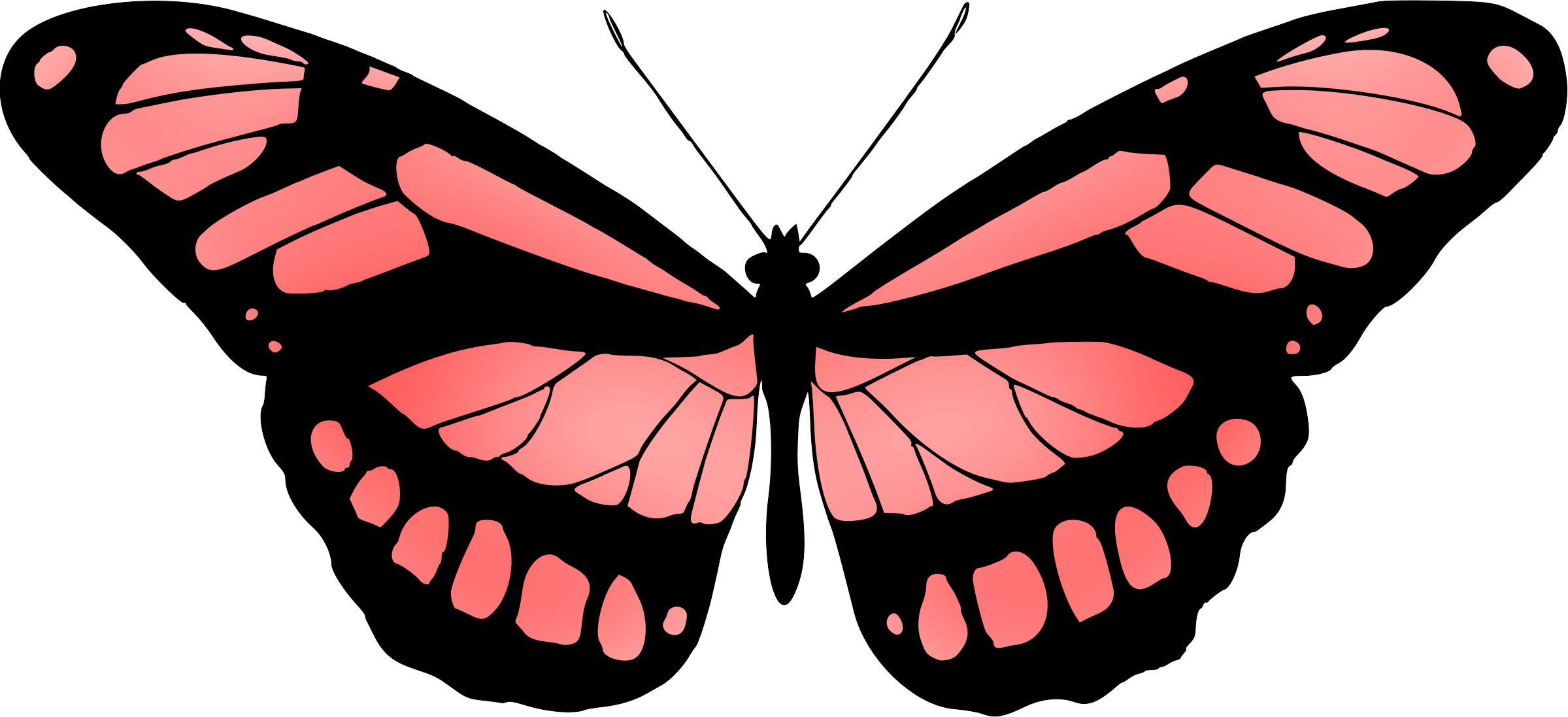 Butterfly 15 - Butterfly Red (2399x1097)