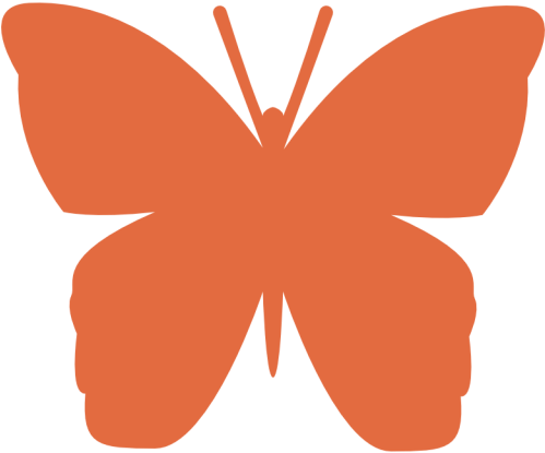 Riodinidae (512x512)