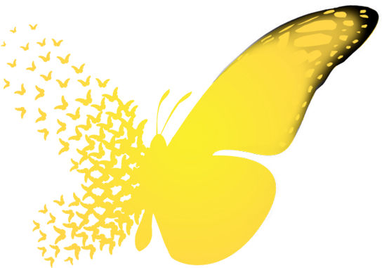Butterfly Effect - Butterfly Effect (550x463)