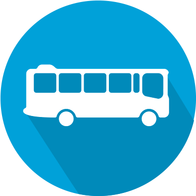 Bus - Bus (400x400)