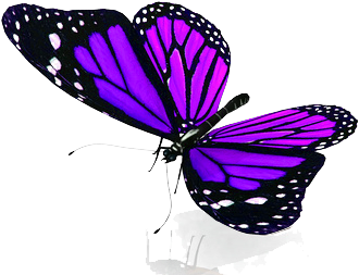 Another Butterfly - Gotham Decor Monarch Butterfly Couple High Gloss Ceramic (377x321)