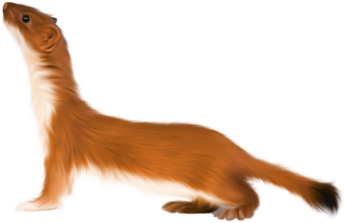 Ирина - Clip Art (500x323)