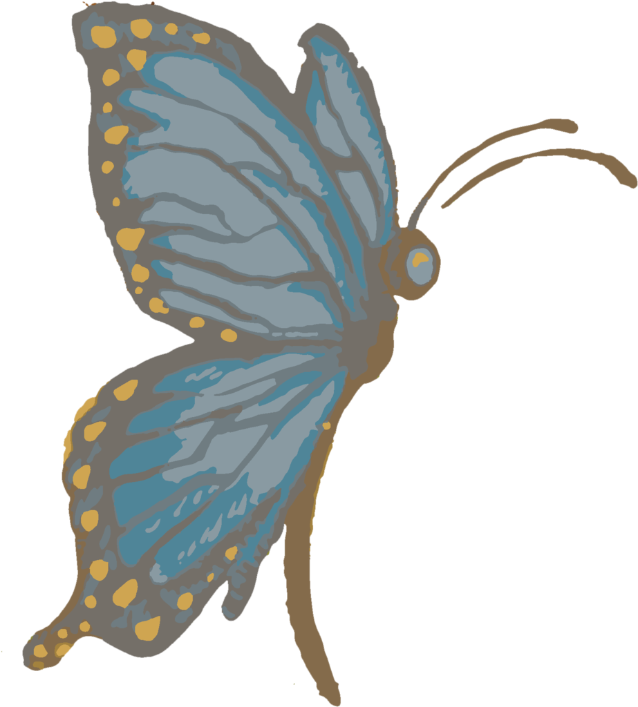 Butterfly - Butterfly (1000x1294)