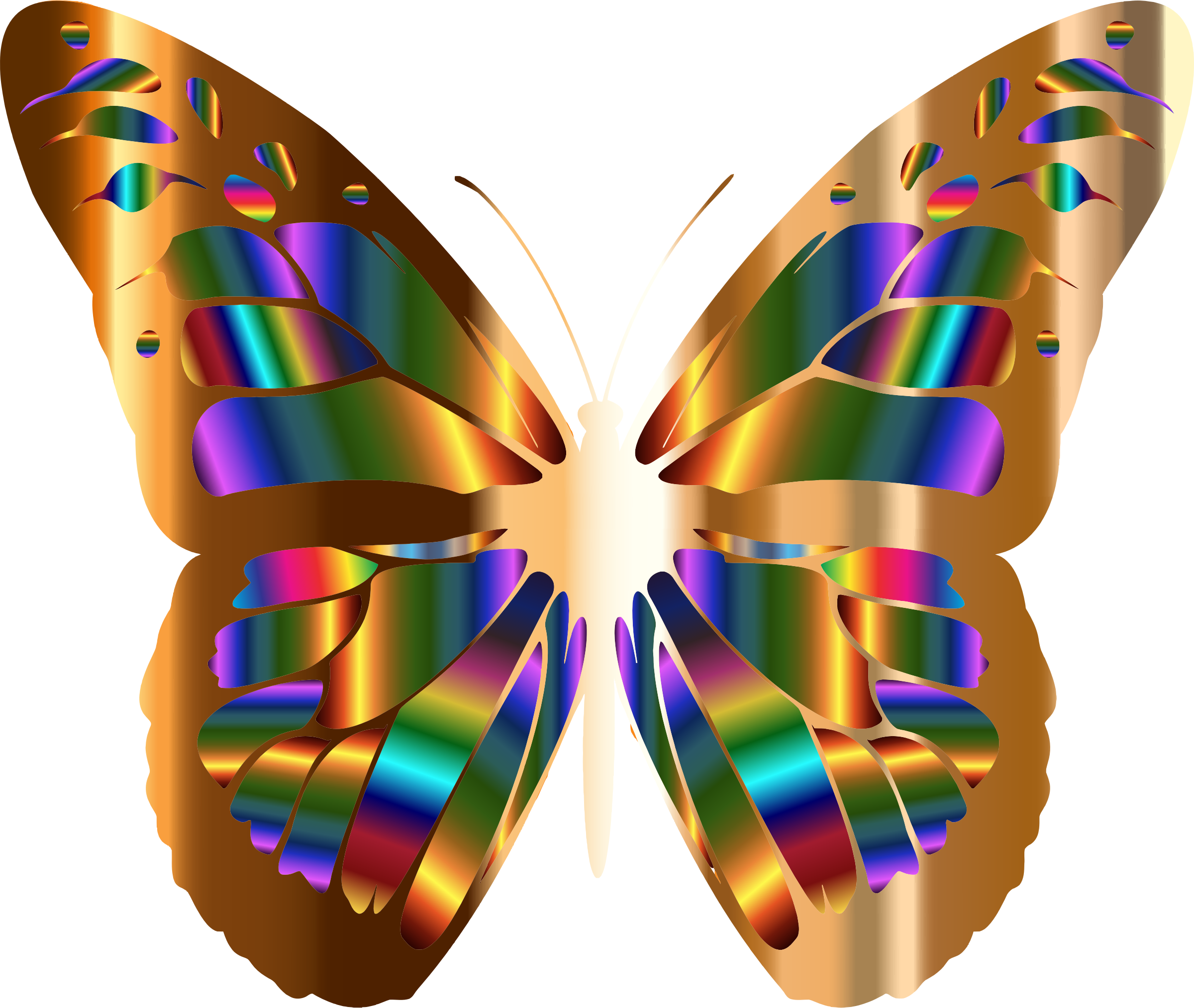 Medium Image - Butterfly (2400x2028)