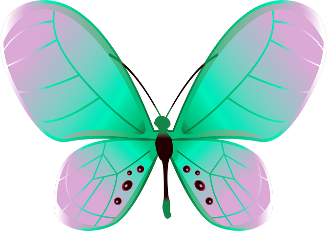 ‿✿⁀butterflies‿✿⁀ - Lycaenid (670x475)