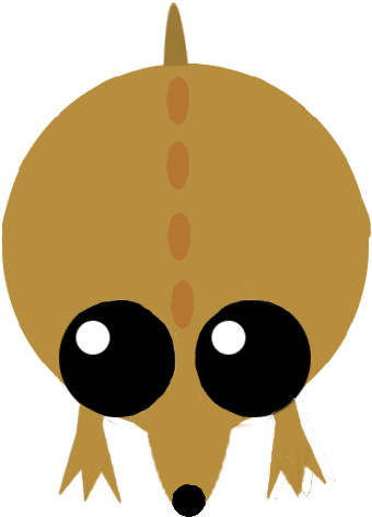 Kangaroo Art - Cartoon (500x500)