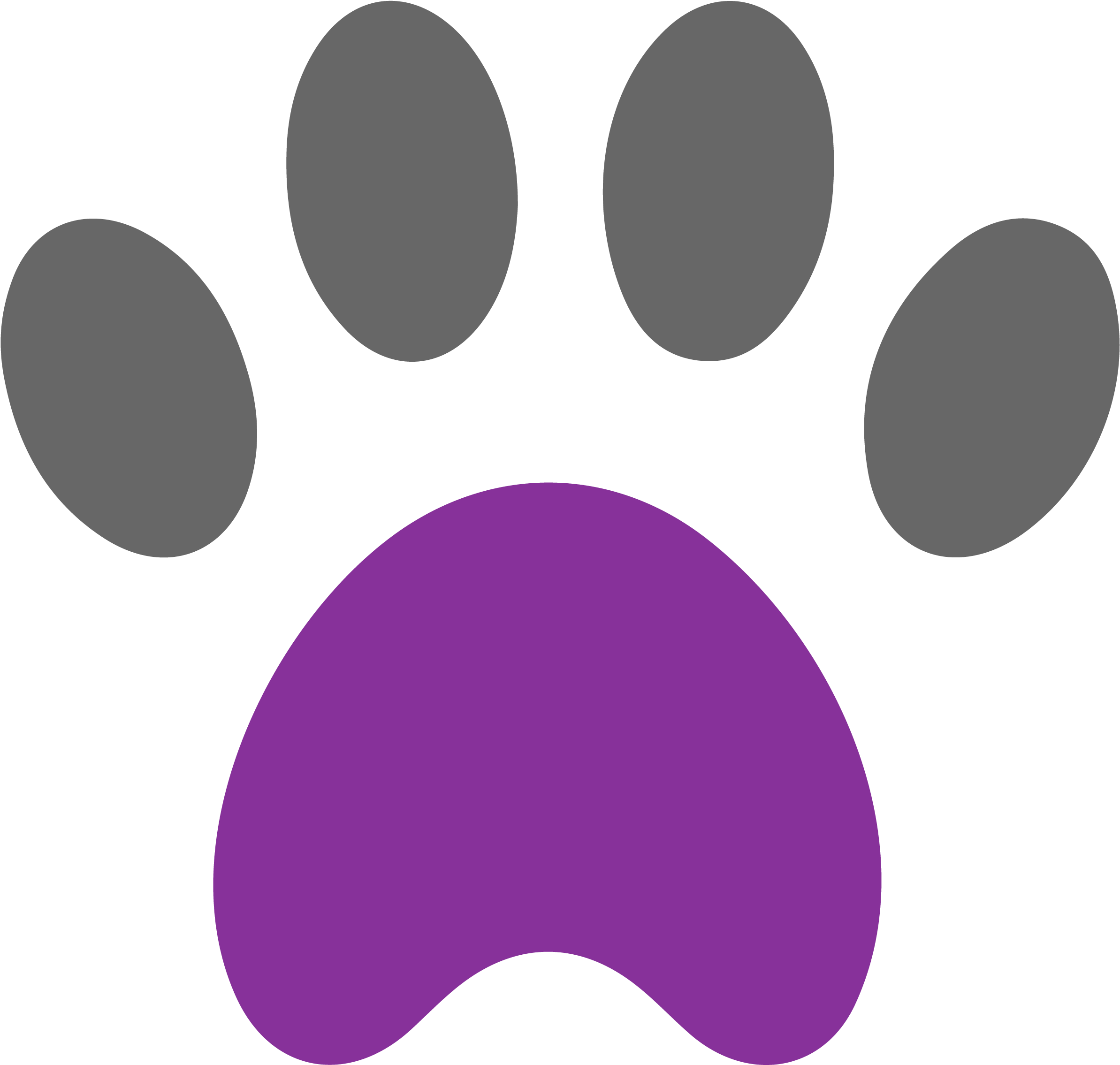 Paws - Cat (2501x2501)