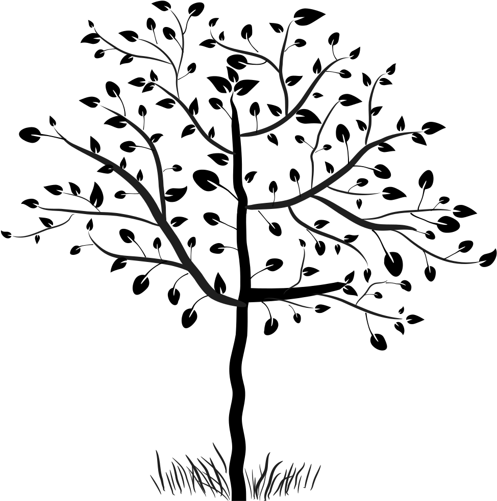 Stylized Tree - Tree (1000x1000)