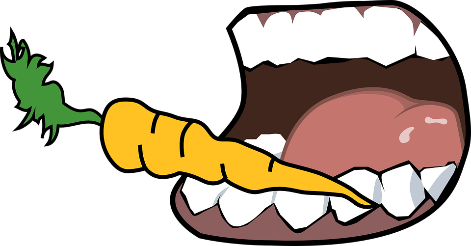 Add Teeth Photo Throw Blanket (960x501)