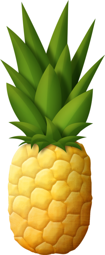 Fruit (421x1024)