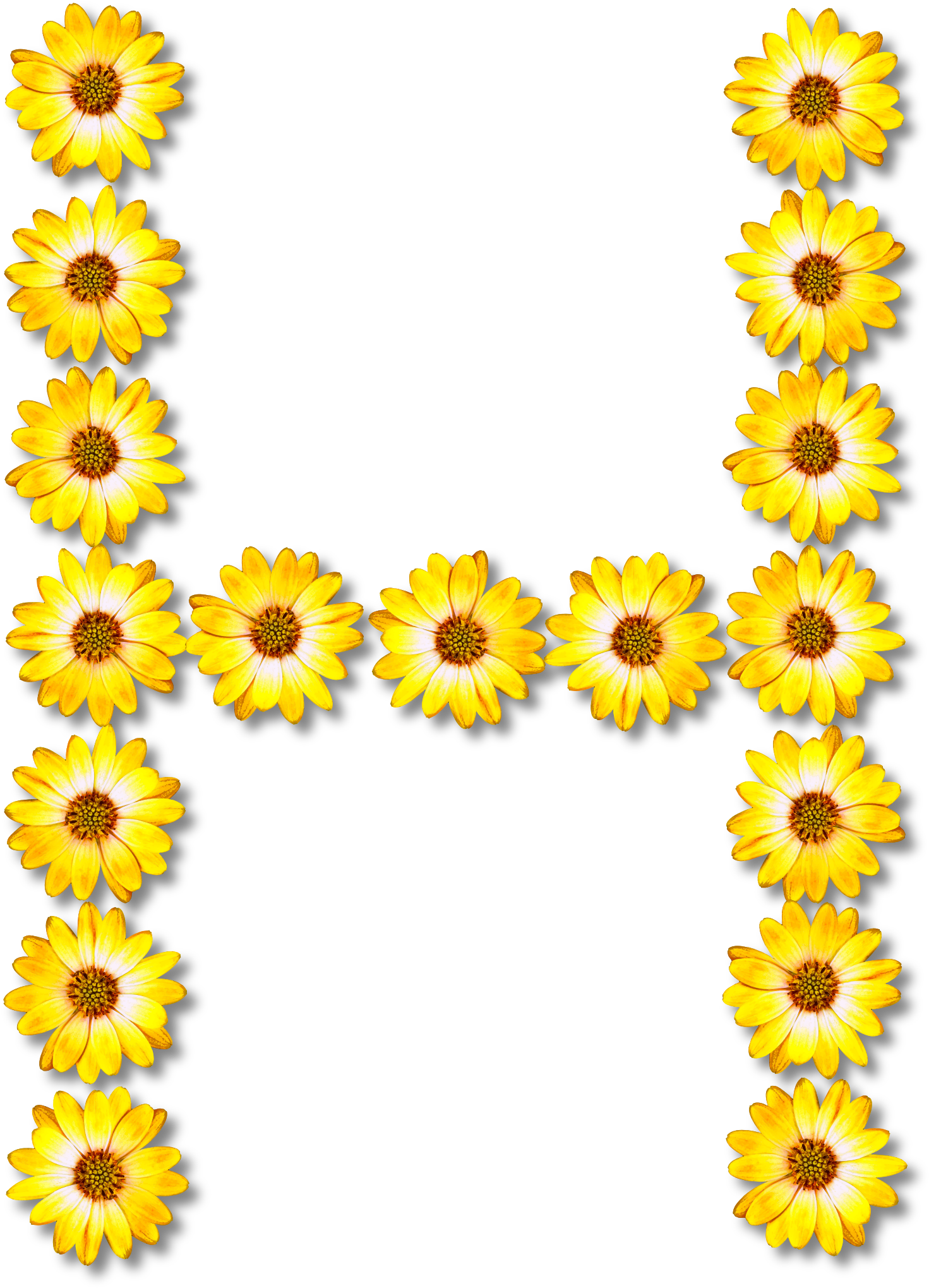 Big Image - Number (1717x2400)