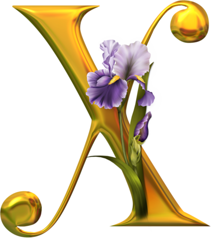 X - Alphabet (428x500)