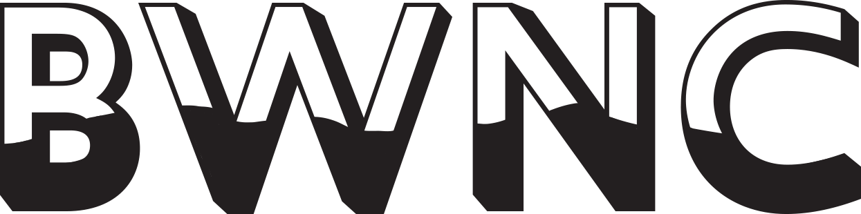 Podcast (1245x310)