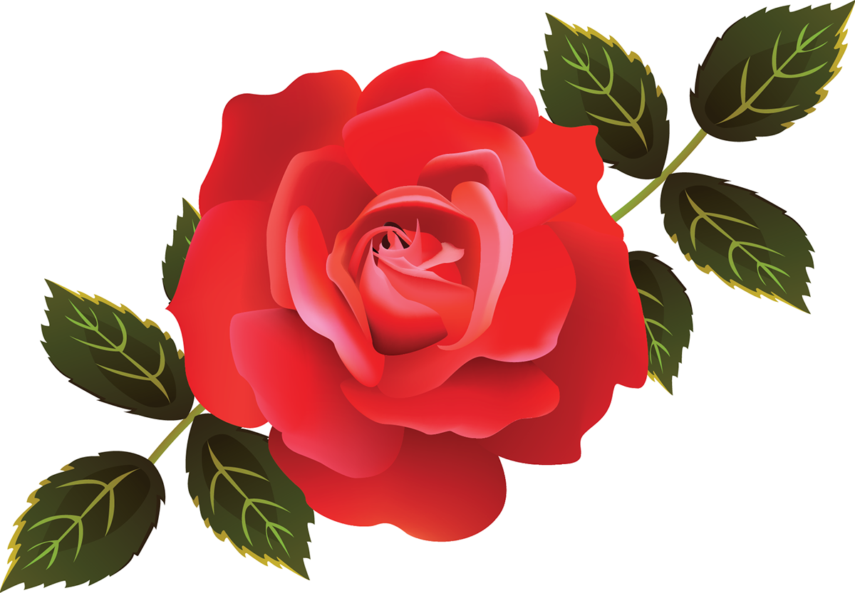 Illustrator Rose Mesh - Floribunda (1200x833)