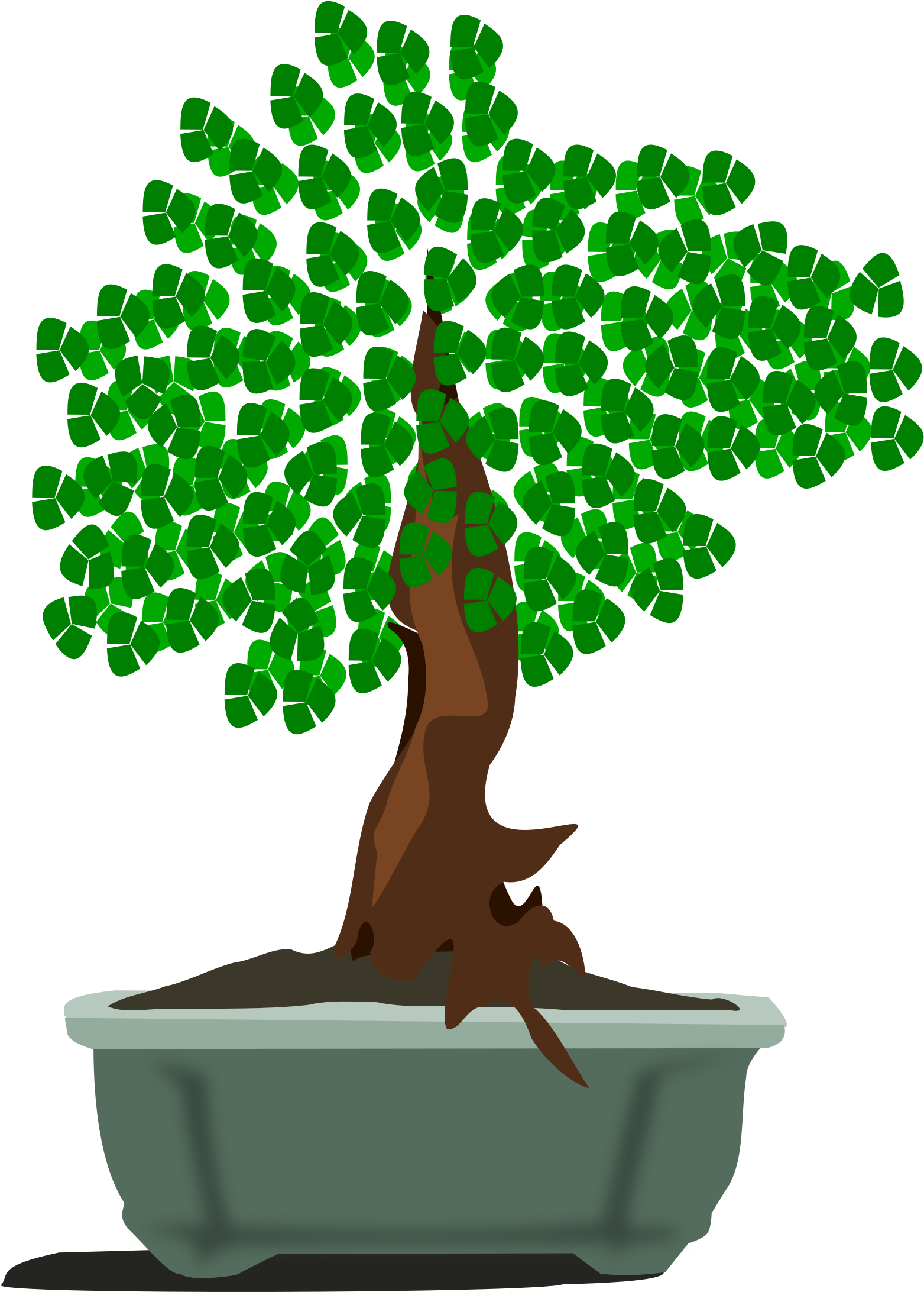 Big Image - Bonsai Clip Art (2400x2400)