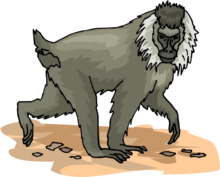 Large Monkey - Writing (750x635)