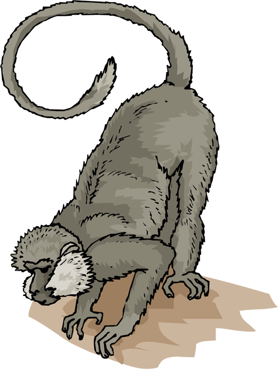 Monkey - Monkey Coloring Pages (560x750)