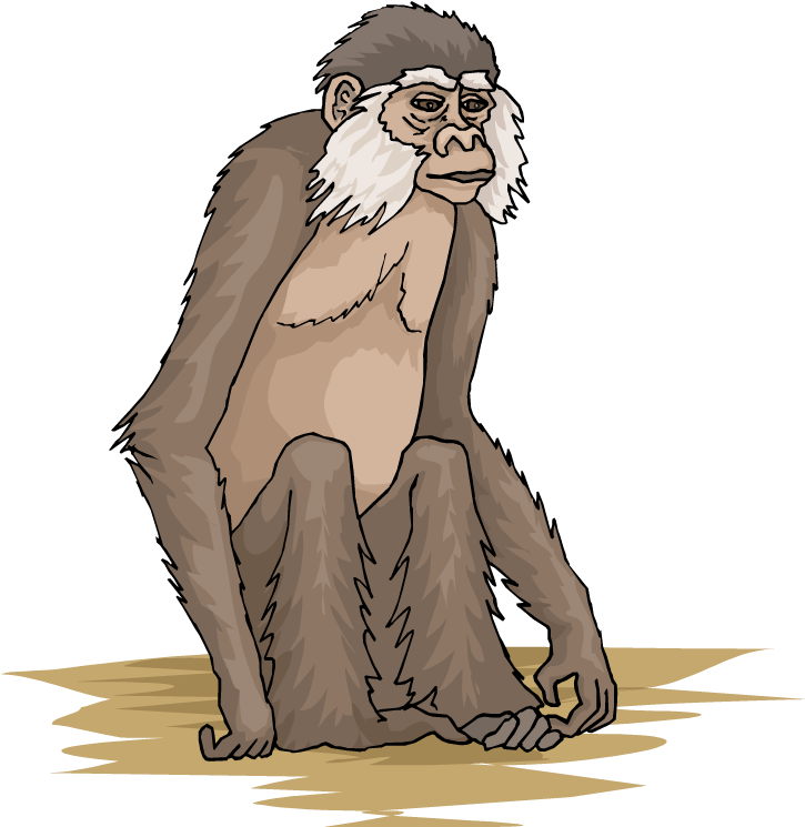 Monkey Clipart - Clip Art (750x745)